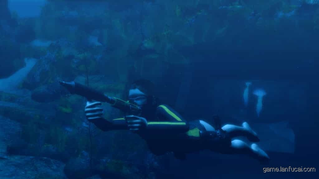 古墓丽影8：地下世界/Tomb Raider: Underworld/附1-7历代