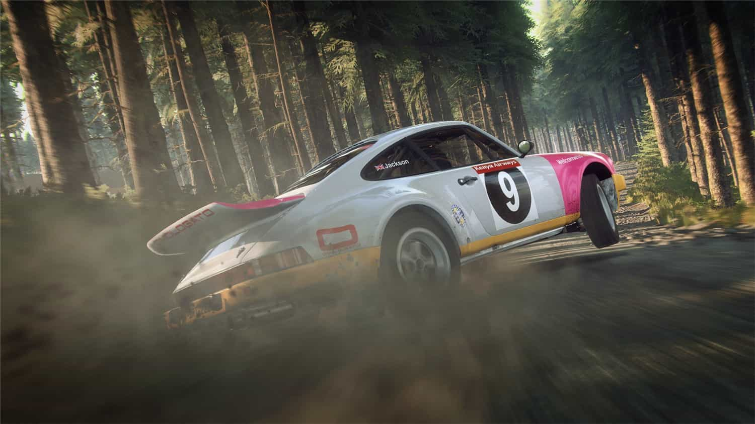 尘埃拉力赛2.0/DiRT Rally 2.02